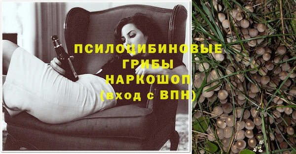 альфа пвп Нея