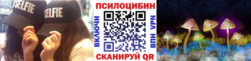 продажа наркотиков  Чистополь  MEGA зеркало  сайты даркнета состав  Псилоцибиновые грибы Magic Shrooms 