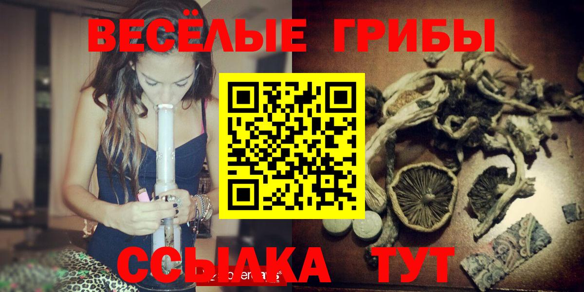 Чистополь  Галлюциногенные грибы мицелий  Вход с VPN 